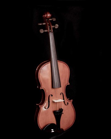 SentanaArt-Strings-Violin-D
